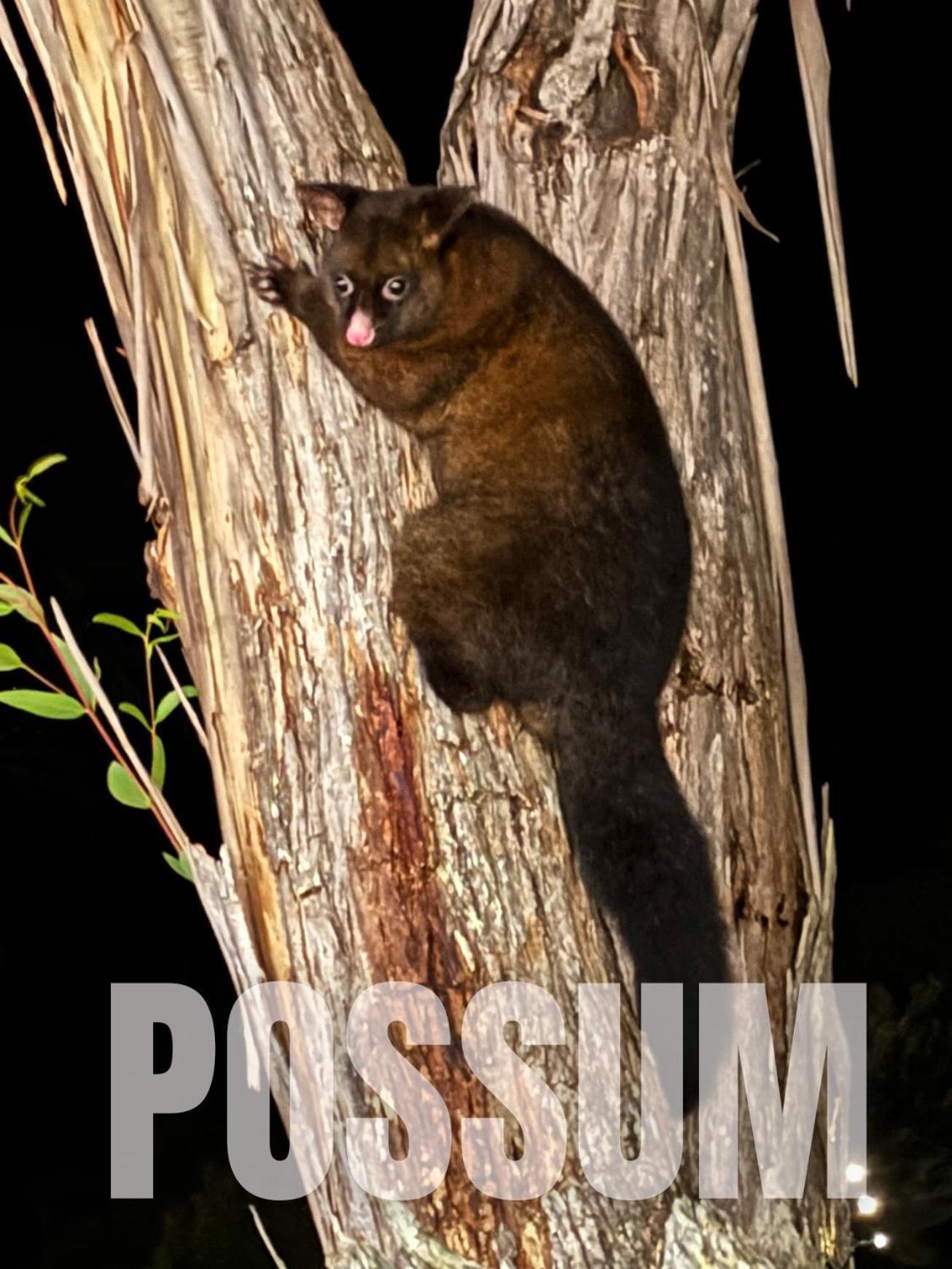 Strahan Wilderness Lodge Buitenkant foto